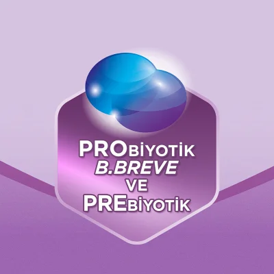 Aptamil Prosyneo 2 Devam Sütü, 400 g