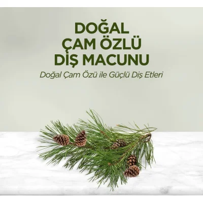 Eyüp Sabri Tuncer Doğal Diş Macunu, Çam Özlü, 90 g
