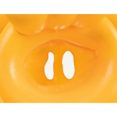 Bestway Oturaklı Bebek Simidi, 69 cm