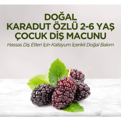 Eyüp Sabri Tuncer Doğal Karadut Özlü Diş Macunu, 2-6 Yaş, 60 ml