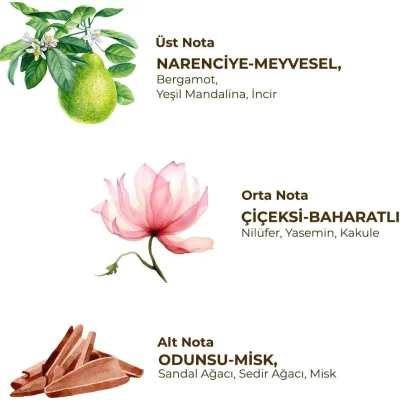 Eyüp Sabri Tuncer Kadın Roll On Deodorant, 75 ml, Active